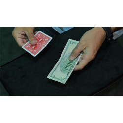 Divisa by Adrian Vega wwww.magiedirecte.com