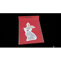 My Favorite Pet by Sergio Ferrer wwww.magiedirecte.com