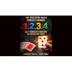 Are You Sure? by Damien Vappereau and Marc CÃ©liandre wwww.magiedirecte.com