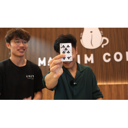 Tricky Raccoon by Liang Kuai & Amor Magic wwww.magiedirecte.com