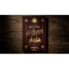 Harry Potter Self-Coloring Book by theory11 wwww.magiedirecte.com