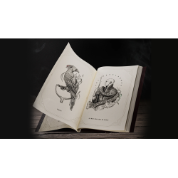 Harry Potter Self-Coloring Book by theory11 wwww.magiedirecte.com