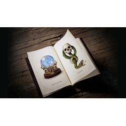 Harry Potter Self-Coloring Book by theory11 wwww.magiedirecte.com