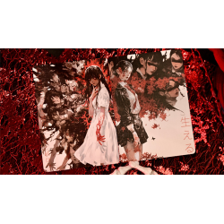 Darkwood Playing Cards by Evokad wwww.magiedirecte.com