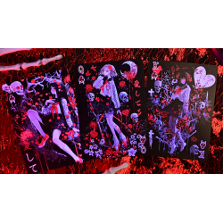 Crimson Maple Playing Cards by Evokad wwww.magiedirecte.com