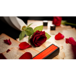 The Butterfly by K.Pen & TCC Magic wwww.magiedirecte.com