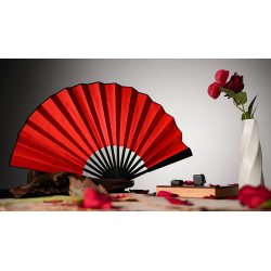 The Butterfly by K.Pen & TCC Magic wwww.magiedirecte.com