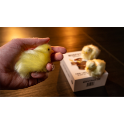 THE FINAL LOAD (Baby Chicks) by Murphy's Magic wwww.magiedirecte.com