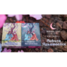 Sakura Renaissance Moonlight Standard Edition Playing Cards wwww.magiedirecte.com