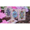 Sakura Renaissance 3D Pop-up Sunlight Edition Playing Cards wwww.magiedirecte.com
