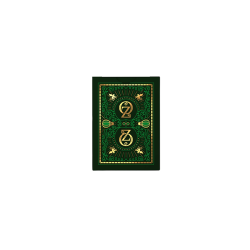 Bicycle Wonderful Wizard of Oz by US Playing Card wwww.magiedirecte.com