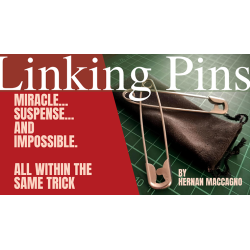 Linking Pins by Hernan Maccagno wwww.magiedirecte.com