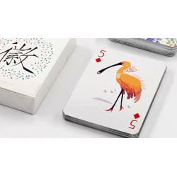 Illustration Poker Playing Cards wwww.magiedirecte.com