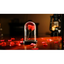 The Quantum Dome by Mai Bro & TCC Magic wwww.magiedirecte.com