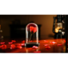 The Quantum Dome by Mai Bro & TCC Magic wwww.magiedirecte.com