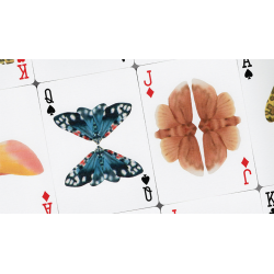 MOTHS (Stripe Edition) by Matthew Palladino wwww.magiedirecte.com