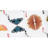 MOTHS (Stripe Edition) by Matthew Palladino wwww.magiedirecte.com