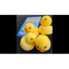 Super Spongy Duckies (4) wwww.magiedirecte.com
