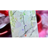 Splendor of the Four Seasons - Spring Playing Cards by Hidden Light wwww.magiedirecte.com