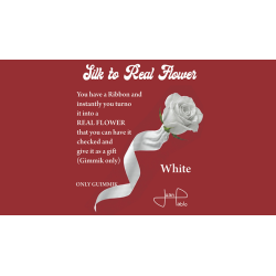 Silk to Real Flower (White) by Juan Pablo wwww.magiedirecte.com