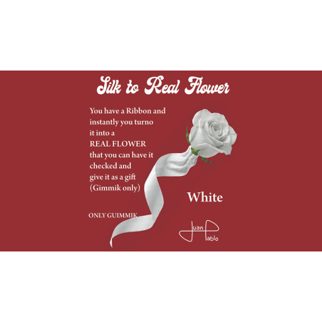 Silk to Real Flower (White) by Juan Pablo wwww.magiedirecte.com