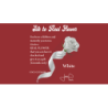 Silk to Real Flower (White) by Juan Pablo wwww.magiedirecte.com
