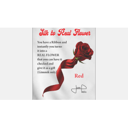 Silk to Real Flower (Red) by Juan Pablo wwww.magiedirecte.com