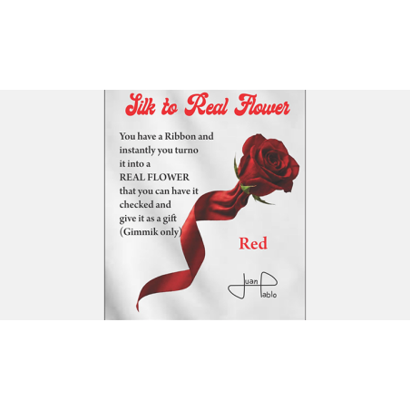 Silk to Real Flower (Red) by Juan Pablo wwww.magiedirecte.com