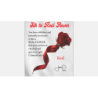 Silk to Real Flower (Red) by Juan Pablo wwww.magiedirecte.com