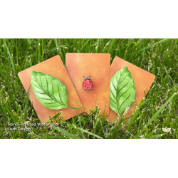 Lucky Ladybug (Leaf) by Joshua Ray & Deuce Gala Magic wwww.magiedirecte.com