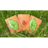 Lucky Ladybug (Leaf) by Joshua Ray & Deuce Gala Magic wwww.magiedirecte.com