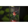 TIME by Yoan TANUJI & Magic Dream wwww.magiedirecte.com