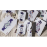 Bicycle Cycle of Venus Playing Cards wwww.magiedirecte.com