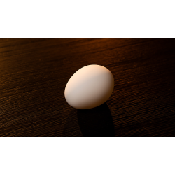 The Egg by Murphy's Magic wwww.magiedirecte.com