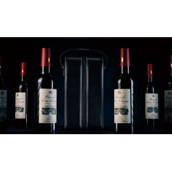Miracle Wine Bottles Carrying Bag by TCC wwww.magiedirecte.com