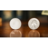 Arraignment Gaff Coin Refill (1 Coin) by Josh Janousky & TCC Magic wwww.magiedirecte.com
