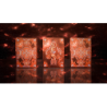 Zodiac (Sagittarius) Luminous Edition Playing Cards by TCC wwww.magiedirecte.com