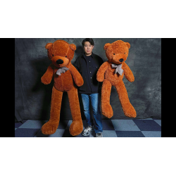 Teddy Bear Appearance (Extra Large) by MS Magic wwww.magiedirecte.com