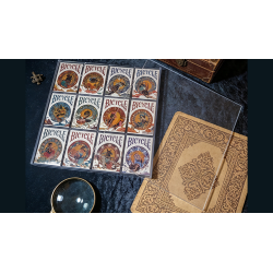 Plexiglass Card Case (12 Deck Case) by MS Magic wwww.magiedirecte.com