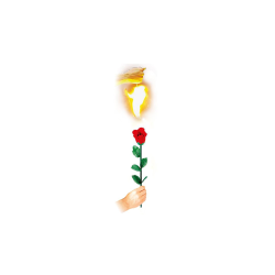 Instant Rose by Vincenzo DiFatta wwww.magiedirecte.com