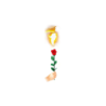 Instant Rose by Vincenzo DiFatta wwww.magiedirecte.com