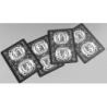 Schrodinger's Cat: Quantum Gilded Dead Black Playing Cards wwww.magiedirecte.com