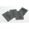 Schrodinger's Cat: Dead and Alive Edition Playing Cards wwww.magiedirecte.com