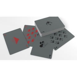 Schrodinger's Cat: Dead and Alive Edition Playing Cards wwww.magiedirecte.com