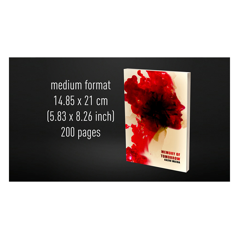 Babel Book Test 4 by Vincent Hedan (Memory of tomorrow), medium, 600 pages