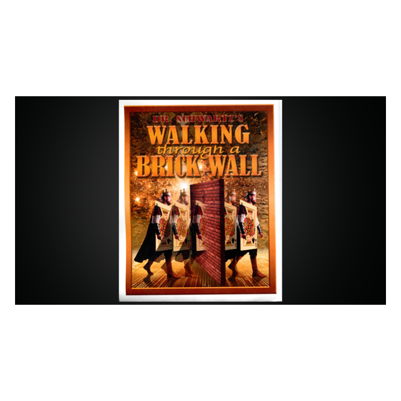 Walking Thru a Brick Wall by Martin Schwartz wwww.magiedirecte.com