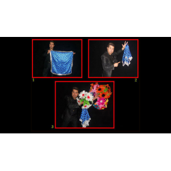 Appearing Bouquets from Hank (4) by Black Magic - Trick wwww.magiedirecte.com
