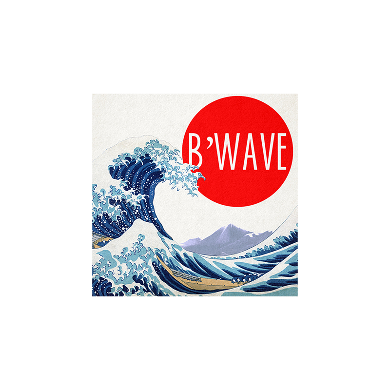 B'Wave DELUXE by Max Maven (Gimmicks and Online Instructions) - Trick wwww.magiedirecte.com