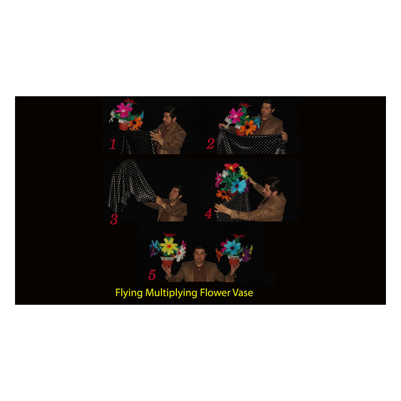 Flying Multiplying Flower Vase by Black Magic - Trick wwww.magiedirecte.com