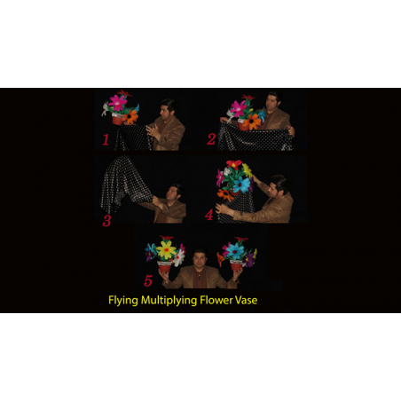 Flying Multiplying Flower Vase by Black Magic - Trick wwww.magiedirecte.com